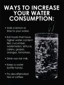 WorkHealthy™ Safety Posters: Ways To Increase Your Water Consumption