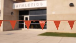 Pennant Rope Flag Tape: Standard Style (red)