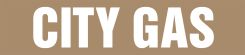 ASME (ANSI) Pipe Marker: City Gas