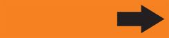 ASME (ANSI) Pipe Marker: Short Arrow (Black/Orange)