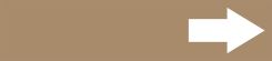 ASME (ANSI) Pipe Marker: Short Arrow (White/Brown)