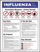 Safety Poster: Influenza Flu Virus