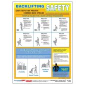 Safety Posters: Backlifting Safety