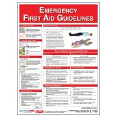 Safety Posters: Emergency First Aid Guidelines