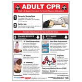 Safety Posters: Adult CPR
