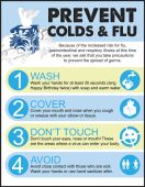 Safety Poster: Prevent Colds & Flu