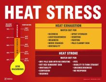 Safety Posters: Heat Stress Heat Exhaustion Heat Stroke